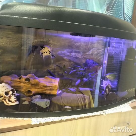 Аквариум с тумбой 120 литров