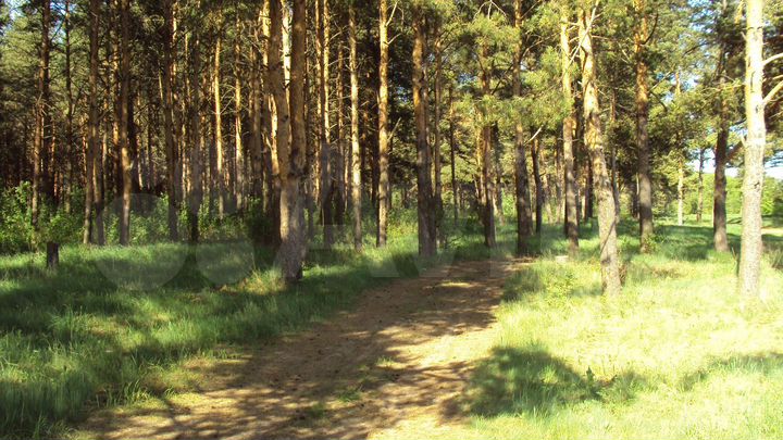 Участок 1169,22 га (СНТ, ДНП)