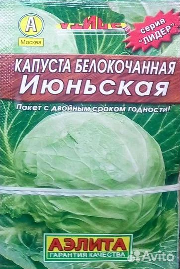 Рассада Капуста ранняя Июньская