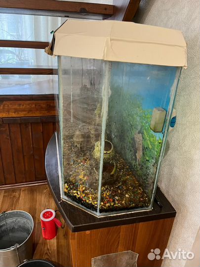 Украшения для аквариума