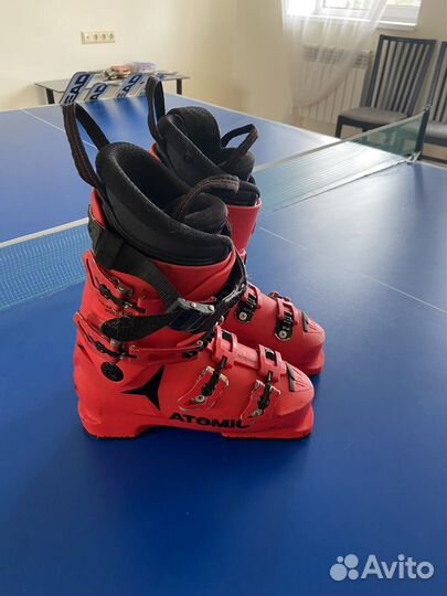 Горные лыжи