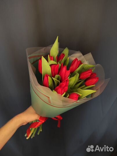 Красные тюльпаны