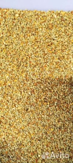 Пыльца пчелиная(обножка)