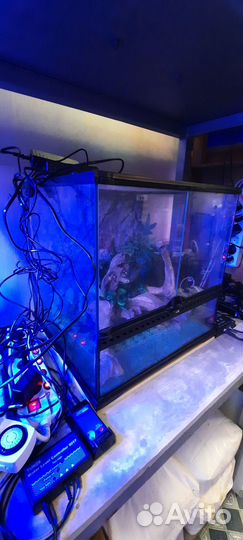 Террариум из силикат. стекла Exo Terra, 45х4545