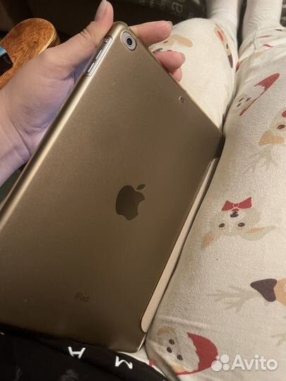 iPad