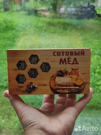 Мёд, мёд в сотах В наличии