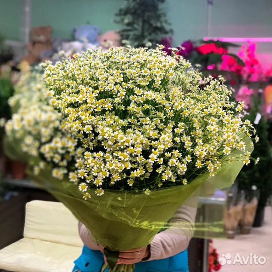 Букет из ромашек 19 25 35 51 101 Розы Пионы