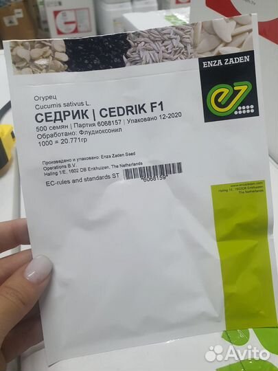 Семена огурец Седрик гибрид 500с Энза Заден
