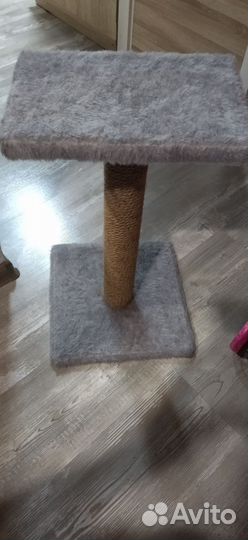 Когтеточка