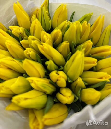 Тюльпаны оплом к 8 марта