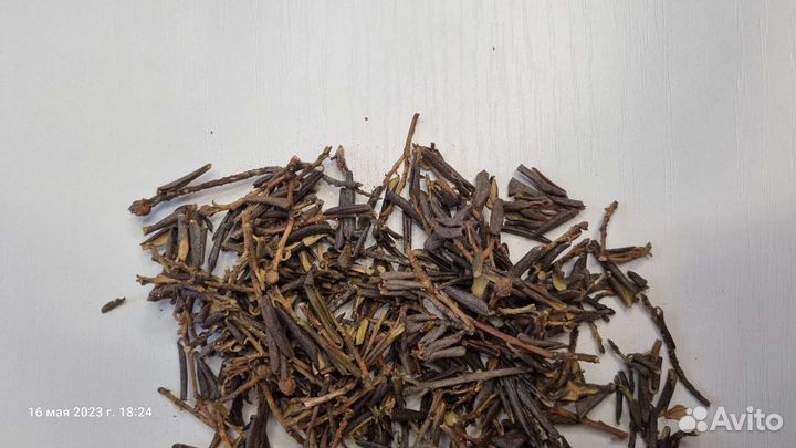 Санан Дайля