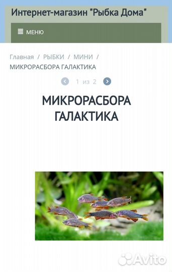 Микрорасбора галактика