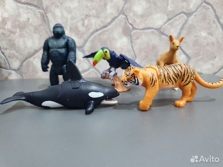 Kinder maxi natoons 2022