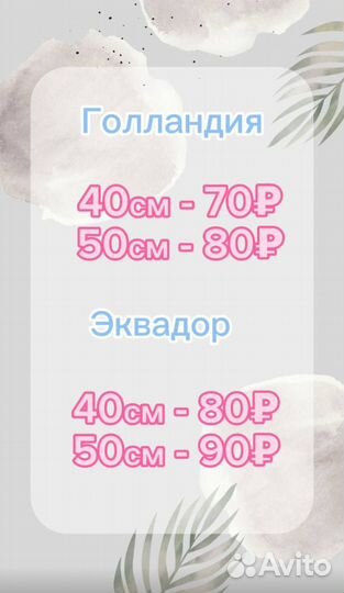 Цветы букеты 101 роза
