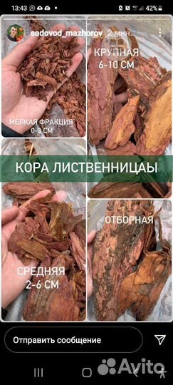 Кора лиственницы и сосны