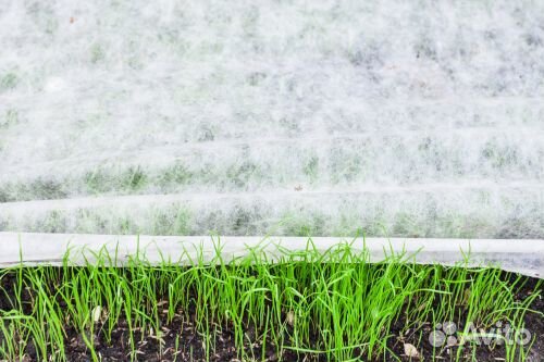 Спанбонд 30 г/м2