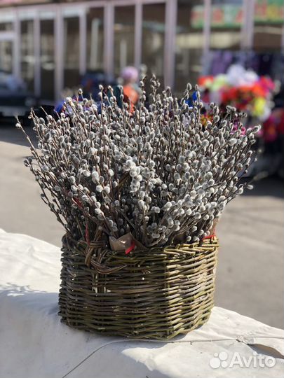 Вербный букет