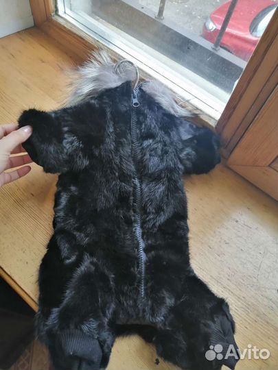 Одежда для собак мелких пород