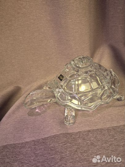 Черепаха bohemia