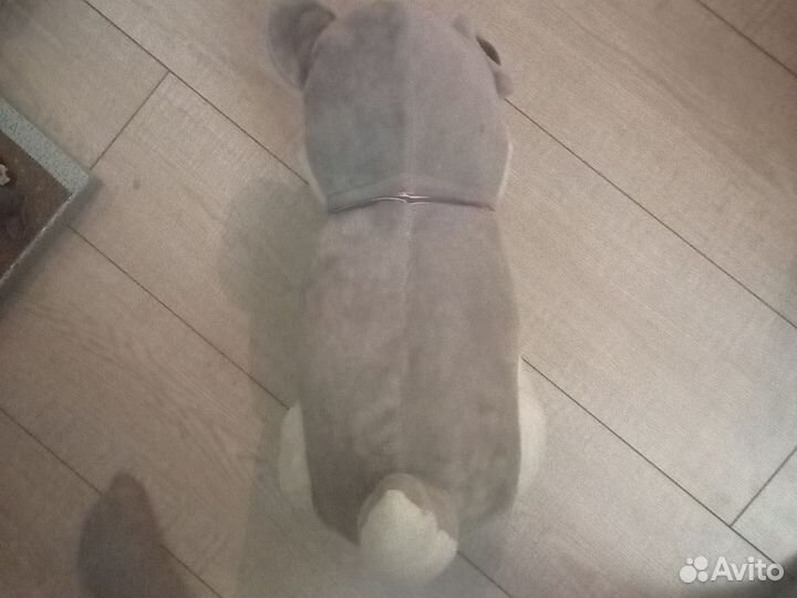 Мягкие игрушки собака