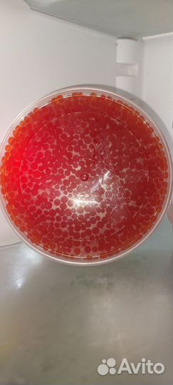 Красная икра