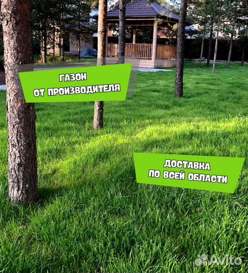 Рулонный газон