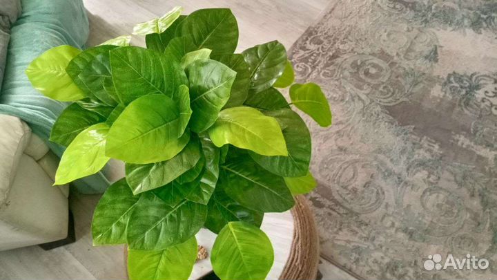 Искусственное дерево пальма растение