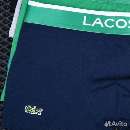 Подарочный набор мужских трусов Lacoste (5 шт)