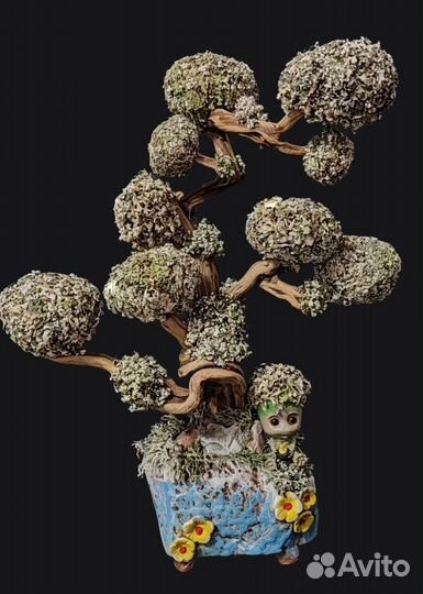 Деревья и панно из Цетрарии