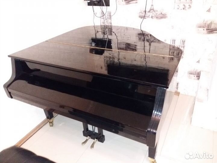 Настройка/Ремонт/Реставрация Роялей и Пианино