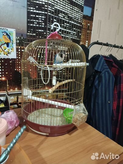 Клетка для крупного попугая
