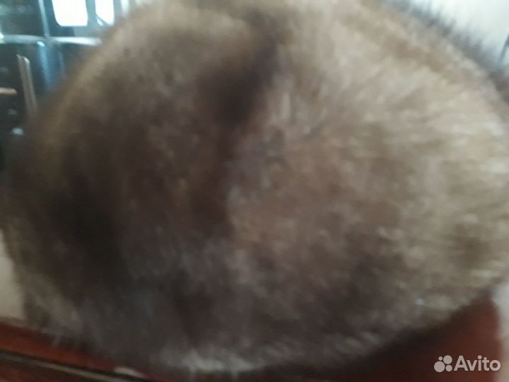 Шапка женская норка коричневая,р 57-58