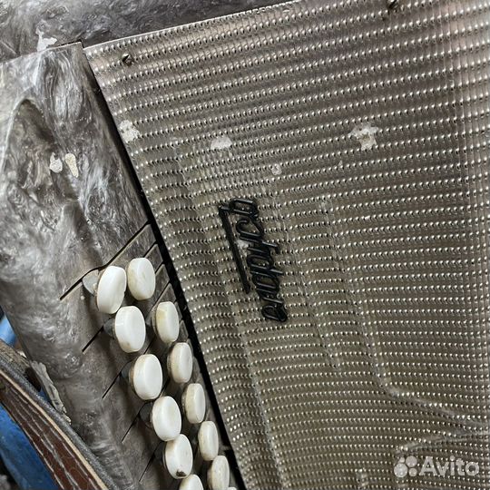 Гармонь Беларусь (Сзр)