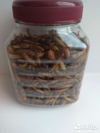 Корм для грызунов