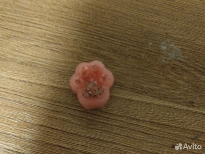 Таба лапки и сквиши