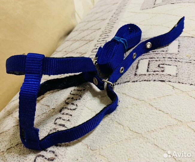 Поводок шлейка для кошек новый