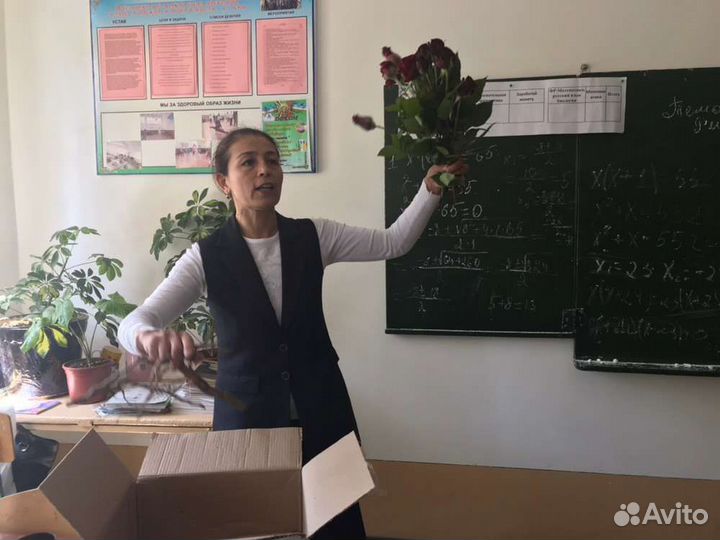 Репетитор по математике и геометрии