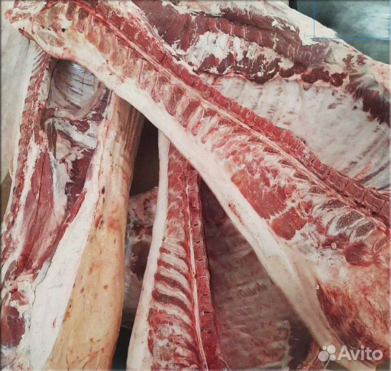 Мясо домашнее Свинина