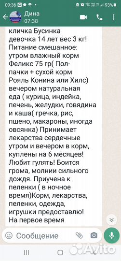 Йорк в добрые руки