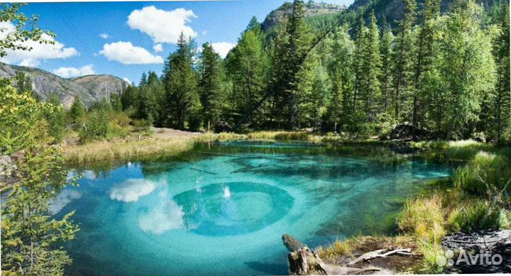 Турпутевка летом на Алтай программы 4-7 дн