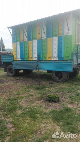 Продам пасеку