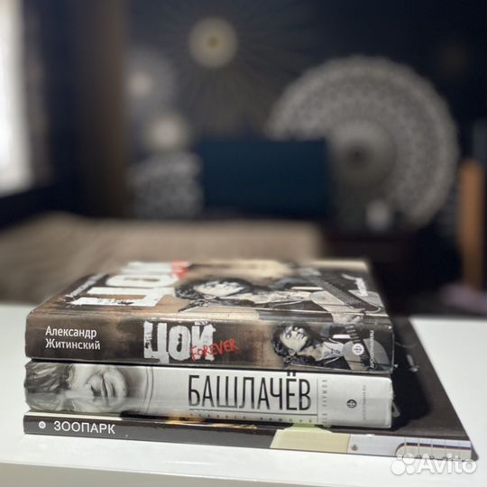 Книги про рок музыкантов: Башлачев, Цой, Науменко