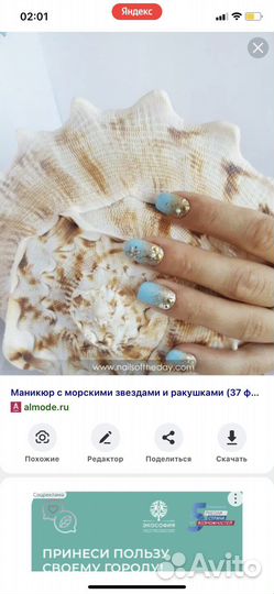 Коралл балянус