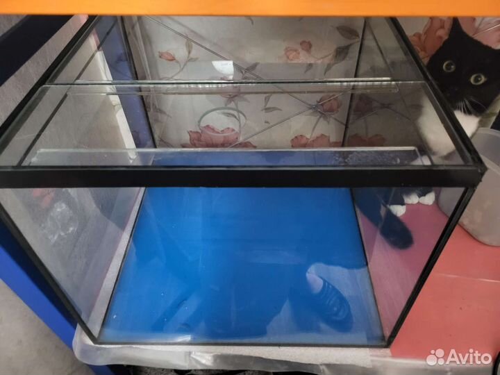 Аквариум