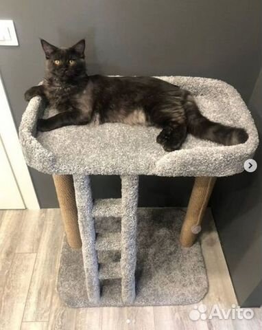 Лежанка когтеточка, игровой комплекс с лесенкой