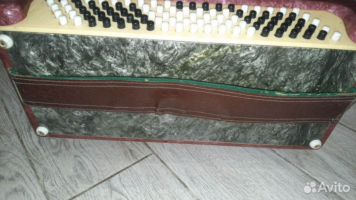 Баян Ростов-Дон