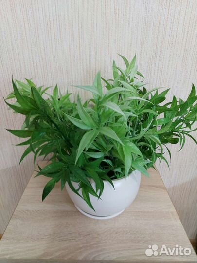 Цветы искусственные