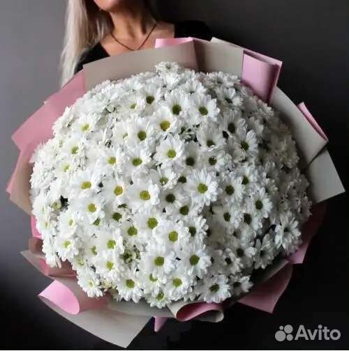 Хризантема букты и композиции