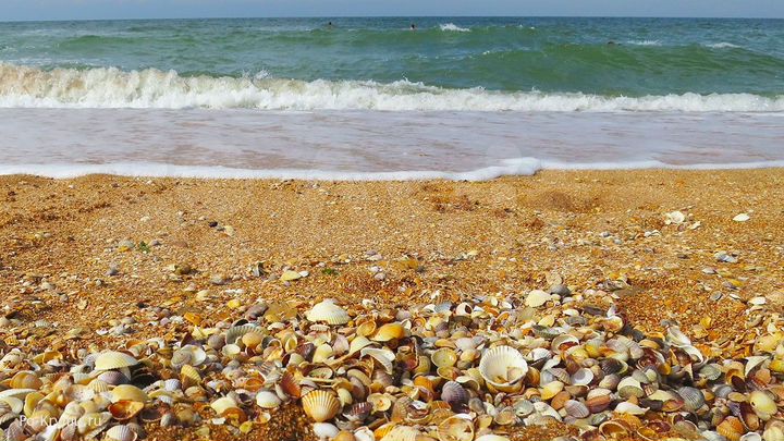 Участок 1,06 га (ИЖС)