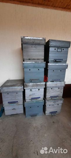 Ящики для пчёл